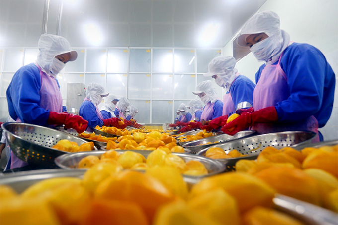 Chế biến nông sản xuất khẩu vào thị trường EU tại Công ty cổ phần Nafoods miền Nam _Nguồn: vietnamplus.vn