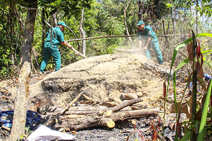 Lực lượng của Ban Quản lý rừng phòng hộ Nam Khánh Hòa triệt phá các lò than trái phép trong rừng.