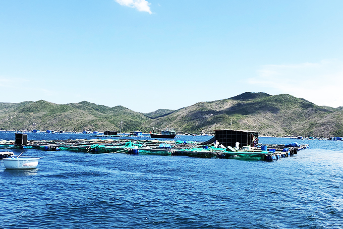 Cấp bù hơn 9,6 tỷ đồng lãi suất để thực hiện khoanh nợ