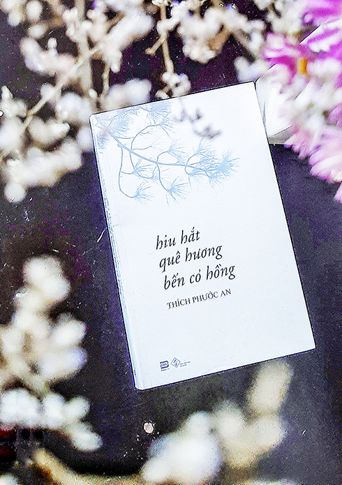 Hiu hắt quê hương bến cỏ hồng (*)