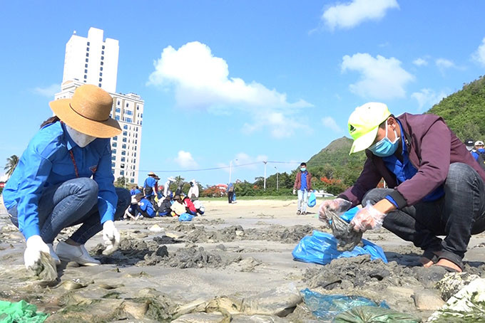 Họat động dọn dẹp bờ biển của Đoàn viên thanh niên Trường Đại học Khánh Hòa. Ảnh: Mã Phương