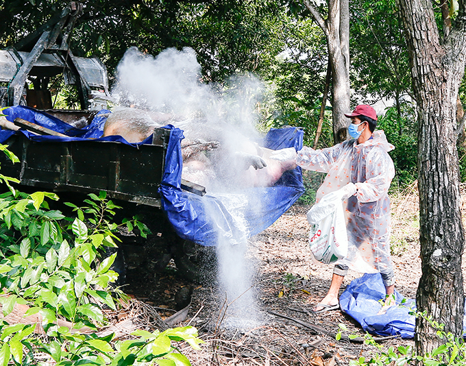 Đề nghị xử lý hộ nuôi heo không chấp hành quy định phòng chống dịch