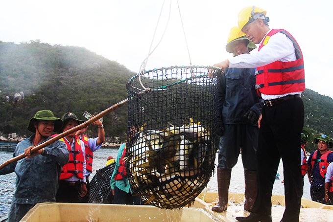 Thứ trưởng Bộ Nông nghiệp và Phát triển nông thôn Phùng Đức Tiến thăm Trung tâm Nuôi biển công nghệ cao tại Vân Phong