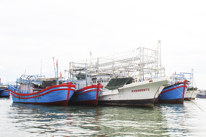 Tàu cá neo đậu tại khu vực cảng Hòn Rớ.