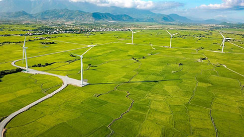 31 dự án năng lượng tái tạo được cấp quyết định chủ trương đầu tư tại Ninh Thuận. 