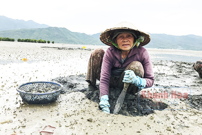 Bà Nguyễn Thị Bảy có hơn 55 năm làm nghề bắt ốc.