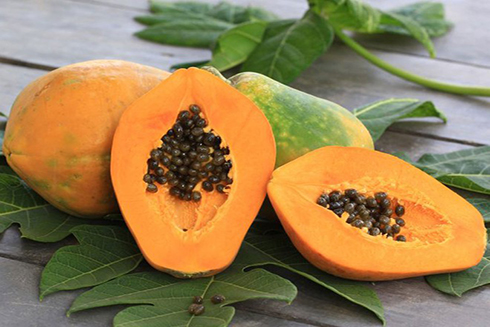 6 lợi ích tuyệt vời của hạt đu đủ khiến bạn bất ngờ