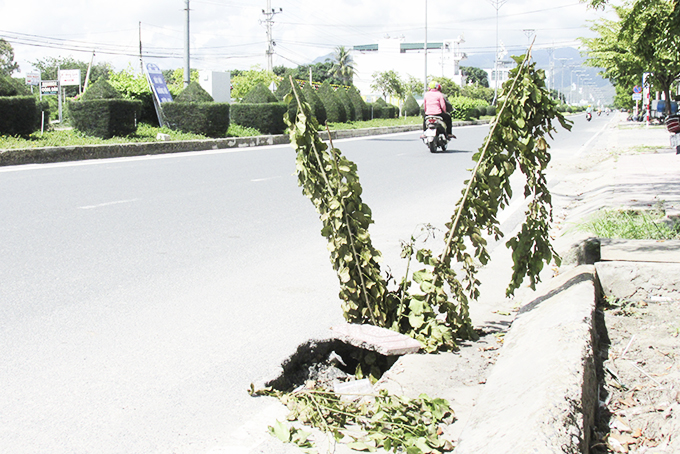 Hố dưới lòng đường