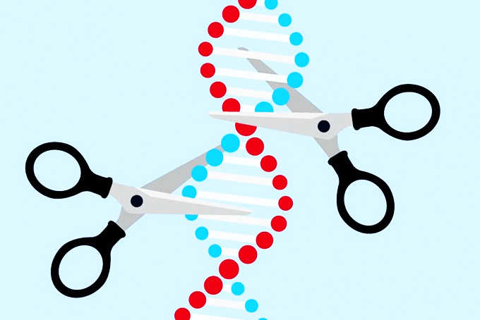 Hai nhà khoa học nữ đoạt giải Nobel Hóa học 2020 về chỉnh sửa bộ gen