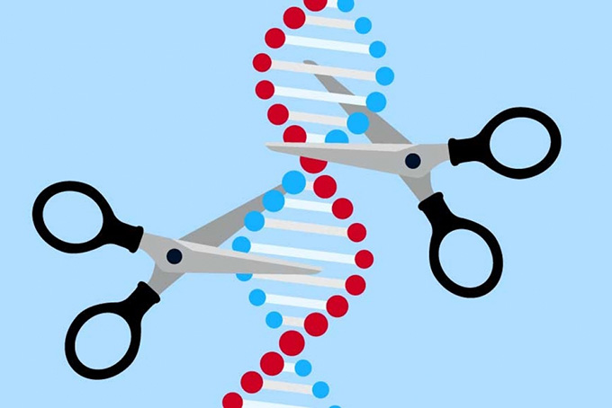 Hai nhà khoa học nữ đoạt giải Nobel Hóa học 2020 về chỉnh sửa bộ gen
