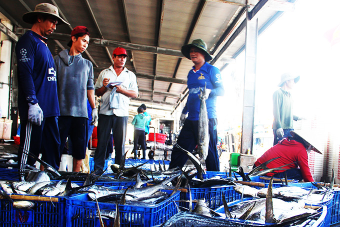 Ngư dân TP. Nha Trang đưa thủy sản khai thác  về tiêu thụ tại cảng Hòn Rớ.