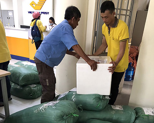 Bưu điện miễn cước vận chuyển hàng cứu trợ miền Trung