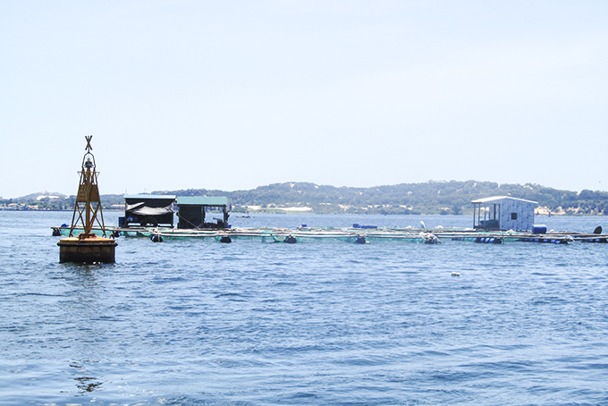 Công tác giao khu vực biển: Nhiều vướng mắc