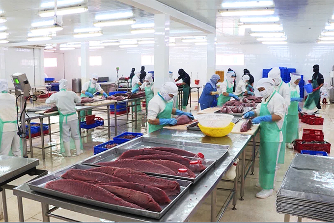 Tạo điều kiện cho doanh nghiệp xuất nhập khẩu