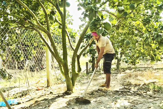 Hiệu quả từ chương trình hỗ trợ sinh kế