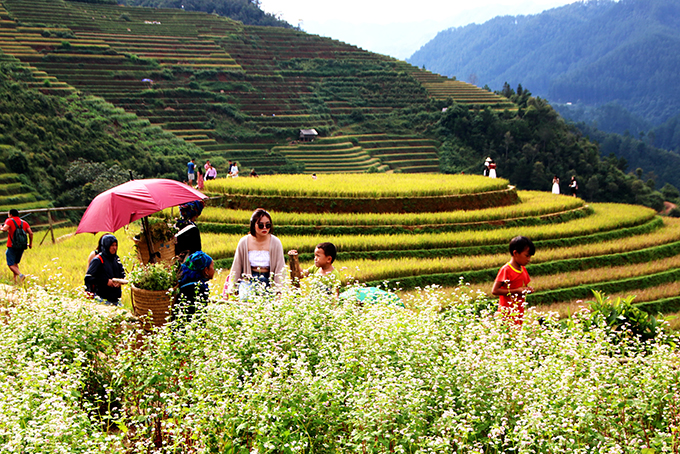 Đi du lịch với con