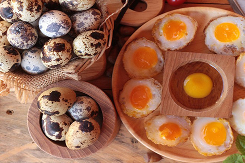 Ăn trứng cút giúp tăng cường hệ miễn dịch . ẢNH: SHUTTERSTOCK