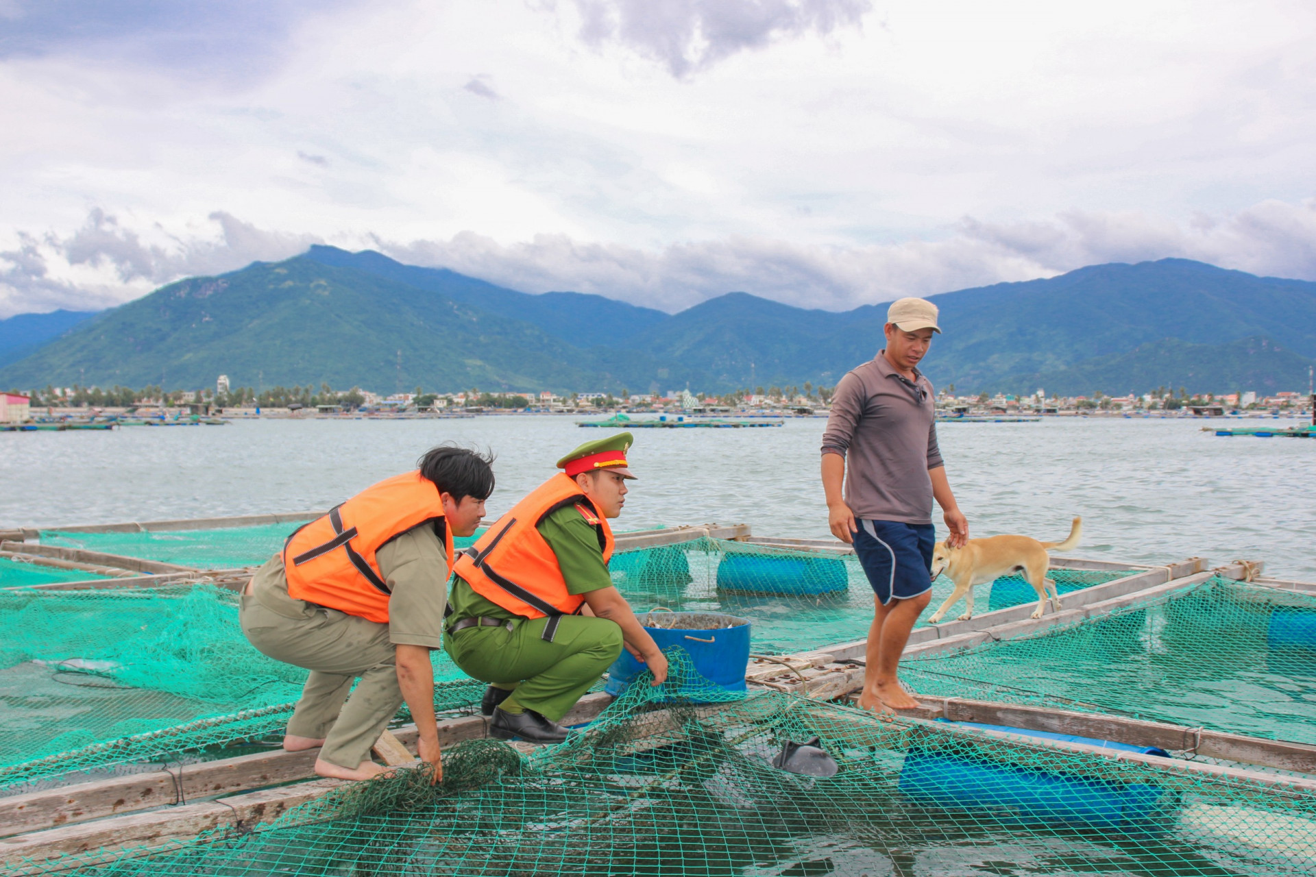 Lực lượng chức năng huyện Vạn Ninh giúp người dân gia cố lồng bè thủy san trên biển.