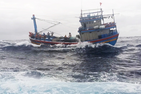 Tàu cá BĐ 91388 TS gặp nạn trên biển.