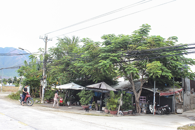 Vụ khiếu nại đất đai ở xã Vĩnh Trung: Đất thuộc xã quản lý