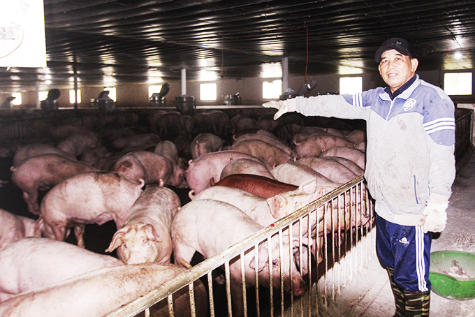 Một cựu chiến binh sản xuất giỏi