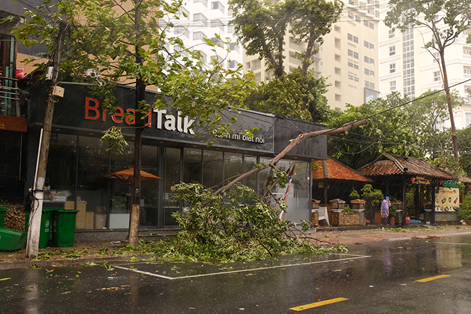 Cành cây bị gãy trên đường Yersin. Ảnh Thành An