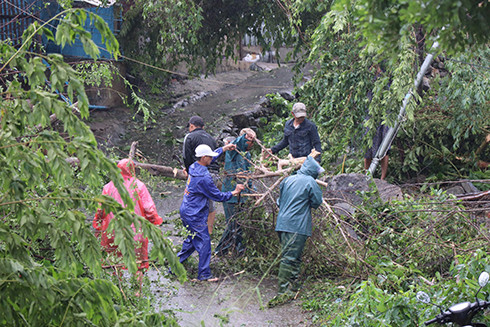 Người dân xóm Núi (Phước Đồng) dẹo dẹp cây bị bão giật đổ