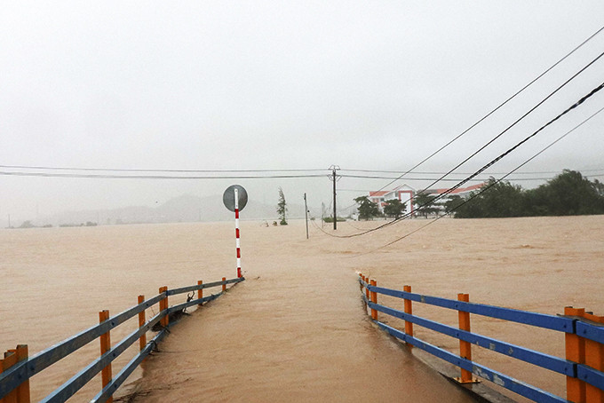 Cánh đồng lúa xã Vạn Bình, huyện Vạn Ninh chìm sâu trong nước do ảnh hưởng của bão số 12 vừa qua. Ảnh: Mạnh Hùng