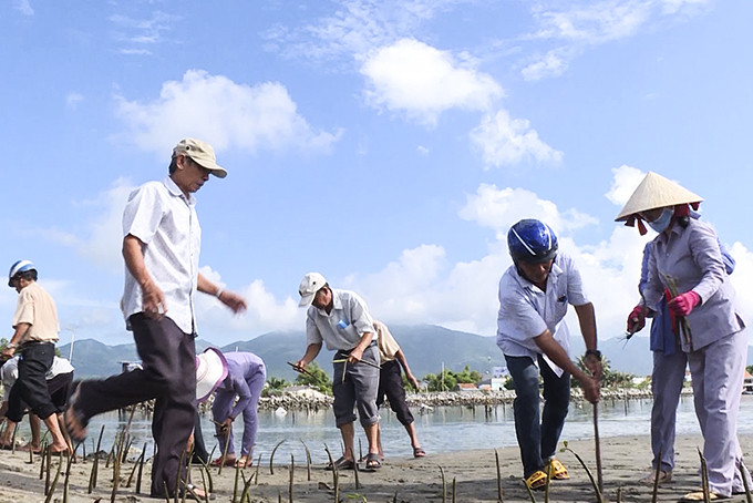 Trồng cây chống xâm nhập mặn, bảo vệ môi trường tại thôn Hải Triều.