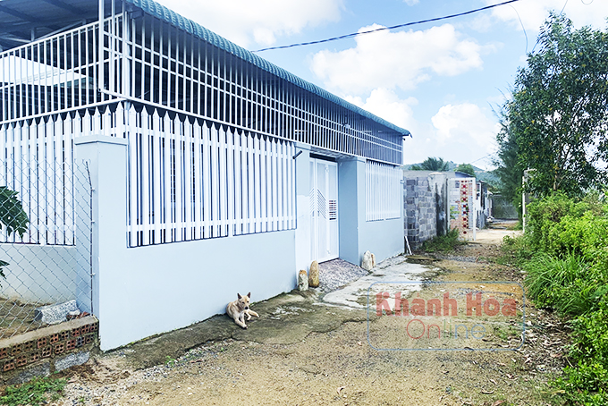 Xây nhà trên đất đìa tôm