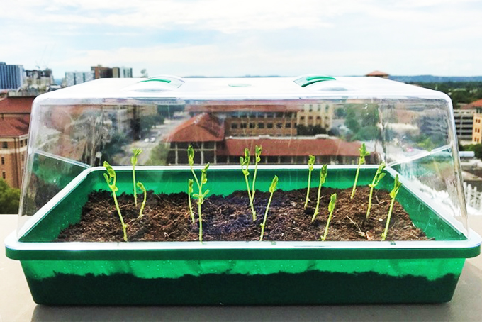 Đất tự 'tưới' nước cho cây trồng