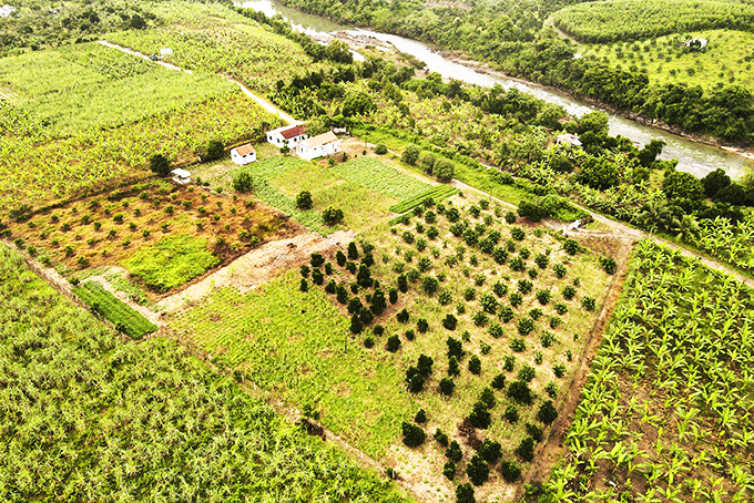 Những mô hình... lãng phí