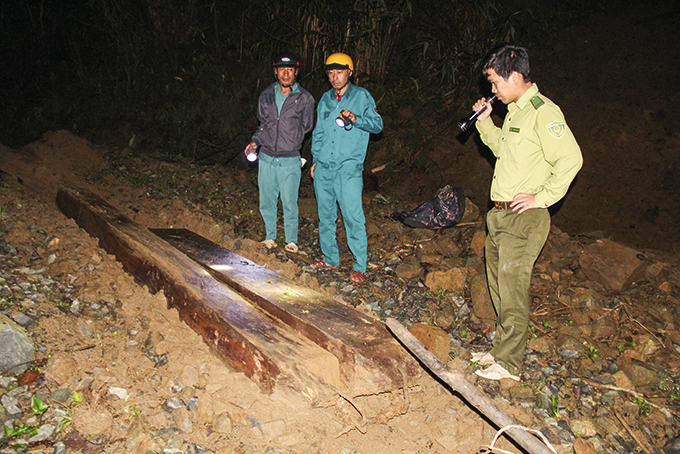 Tăng cường giữ rừng dọc đèo Khánh Lê