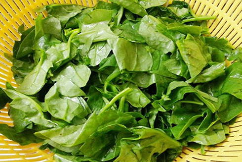 Lợi ích vàng của rau mồng tơi nhiều người chưa biết