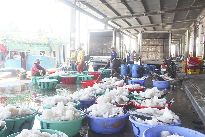 Tiếp tục gỡ "thẻ vàng" của EC