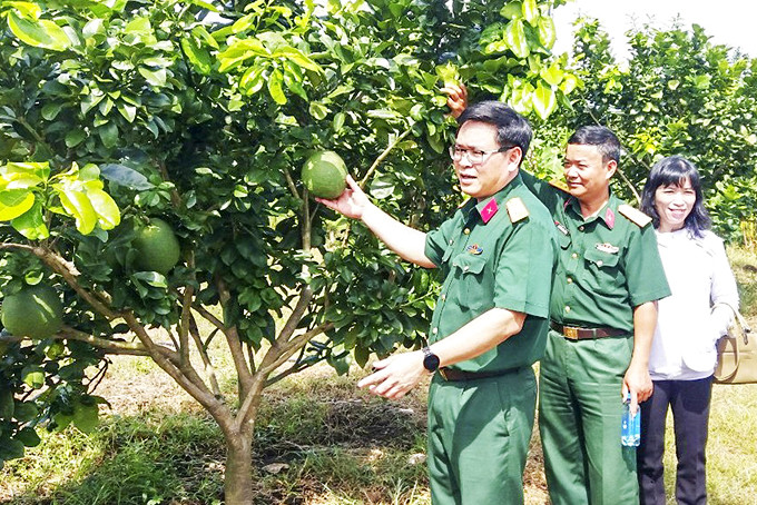 Thượng tá Đinh Văn Hưng (người đứng trước)  cùng đoàn công tác khảo sát mô hình hỗ trợ sinh kế.