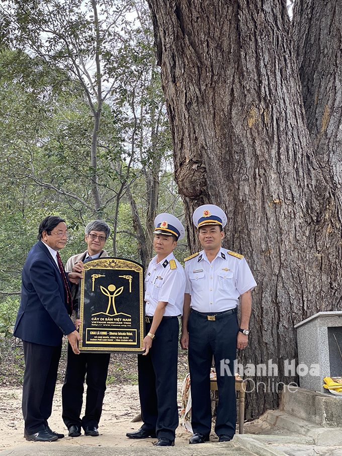 Ông Trần Giỏi trao bia công nhận cây di sản Việt Nam cho đại diện Vùng 4 Hải quân