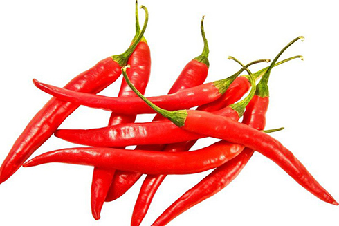 Quả ớt tuy nhỏ nhưng giúp giảm cân nhanh chóng