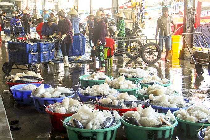 Ứng dụng công nghệ thông tin truy xuất nguồn gốc thủy sản