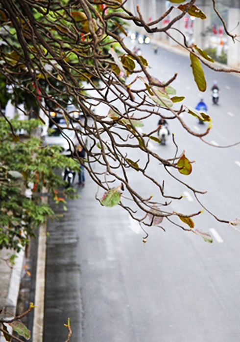 Mở cửa ra, phố vắng ai rồi?