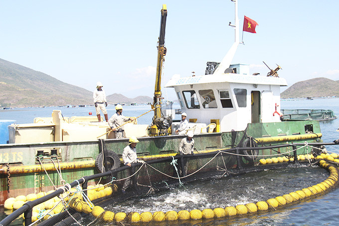 zzHiện nay, trên vịnh Vân Phong đã có một số cơ sở nuôi thủy sản biển theo hướng công nghiệp, hiện đại.