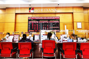 Agribank Khánh Hòa: Đẩy mạnh ứng dụng điện tử trong phối hợp thu ngân sách và bảo hiểm xã hội