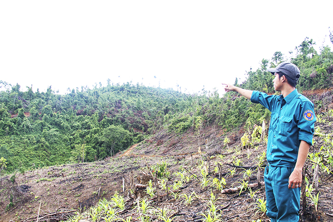 Bóc tách đất giao cho hộ đồng bào dân tộc thiểu số nghèo: Nhiều tồn tại cần giải quyết