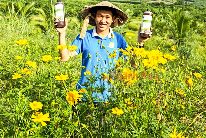 Mơ được ăn sạch!