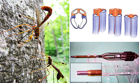 Những sáng kiến lấy cảm hứng từ thiên nhiên năm 2020