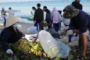 Hơn 200 người tham gia &quot;Ngày môi trường xanh&quot; làm sạch biển Ninh Hải