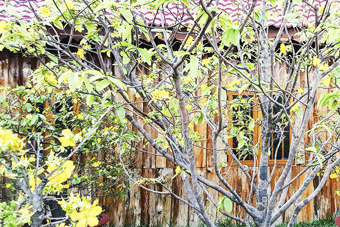 Nha Trang một thoáng xuân thì