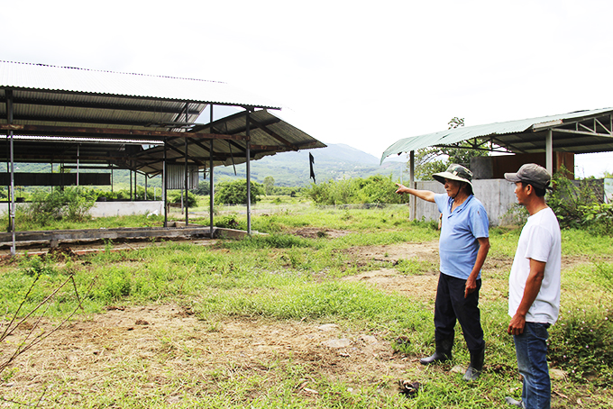 Tranh chấp đất ở xã Ninh Hưng: Cần kiểm tra lại nguồn gốc đất