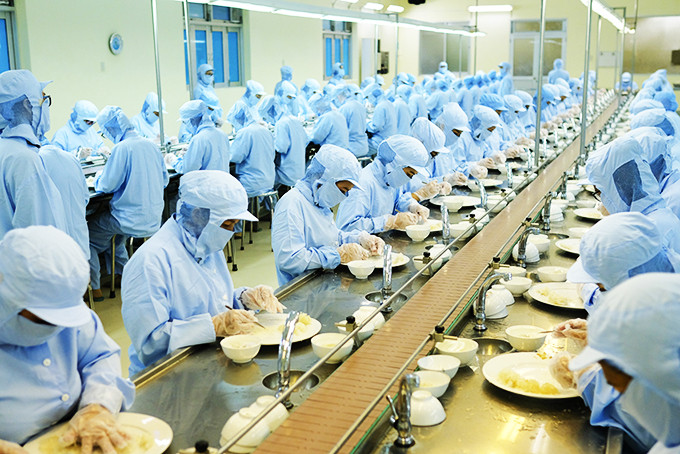 Hoạt động sản xuất tại Công ty TNHH Nhà nước một thành viên Yến sào Khánh Hòa