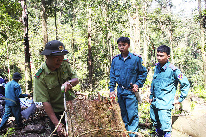 Lực lượng chức năng huyện Khánh Vĩnh truy quét 1 tụ điểm khai thác lâm sản trái phép trên tuyến đường đèo Khánh Lê - Lâm Đồng.